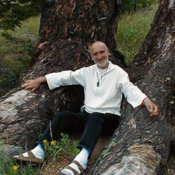 Br. David Steindl-Rast tree