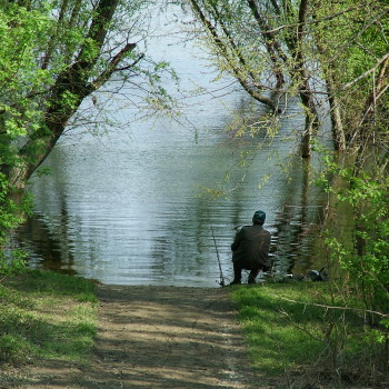 fishing