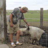 farmer hog farm