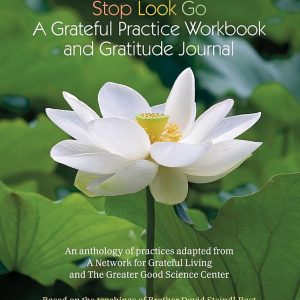 Stop Look Go: A Grateful Practice Workbook and Gratitude Journal