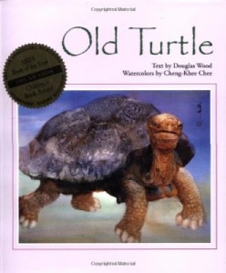 Old Turtle book cover