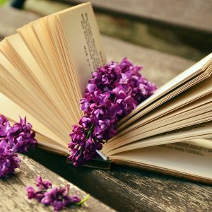 open book lilac