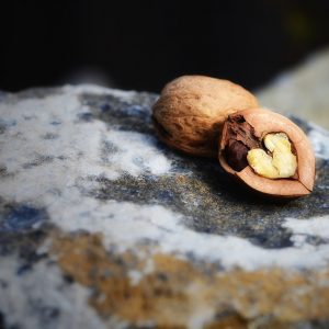 walnut, heart