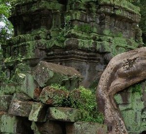 Ta Prohm Temple, Angkor, Cambodia