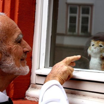 Br. David talking to cat in a window