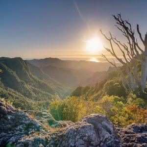 Sunset over a green valley