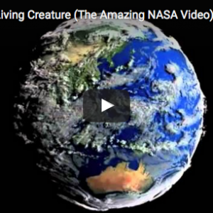 Earth NASA video