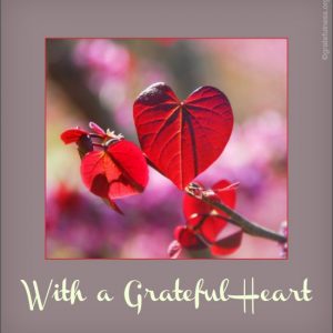 A red leaf in the shape of a heart.