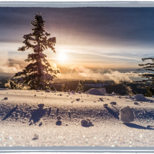 Snowy landscape with pine tree and setting sun
