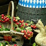 Fruit in Baskets