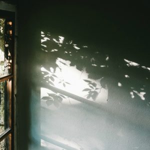 glass door with shadows coming through on the wall of the house.