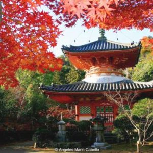 Japanese Pagoda with red fall leaves photo by - Angeles Marin