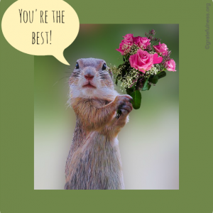 Squirrel holding a bouquet of flowers