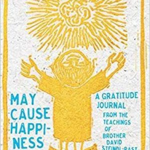 cover of May Cause Happiness - child reaching up to the sun by Helen Siegl